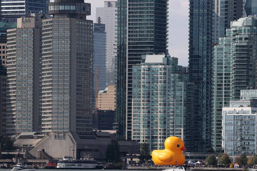 Kente gelen turistler, onu görünce gözlerine inanamadı! Parmakla gösterip endişeyle baktılar 7